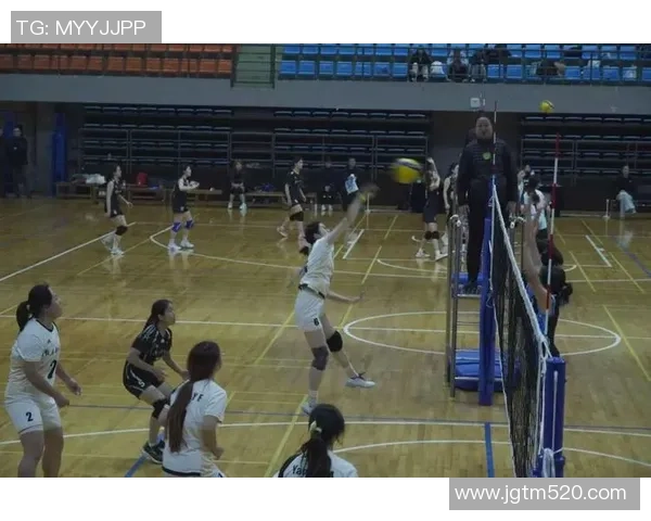 成都排球队总决赛精彩配合展现团队精神与默契之美 成都排球队总决赛精彩配合展现团队精神与默契之美